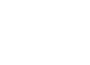 Davison-earthmovers-whites-300x218